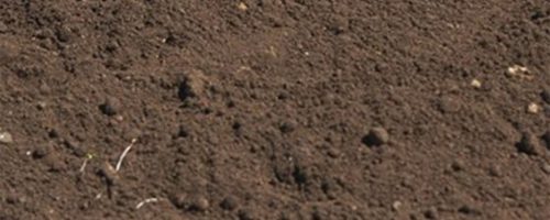 sheringhs recycled top soil